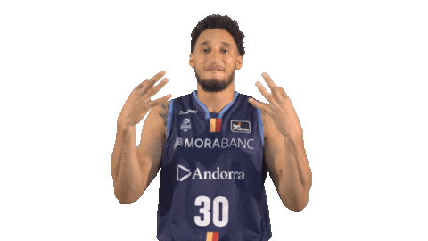 Liga Endesa Basketball Sticker by ACB