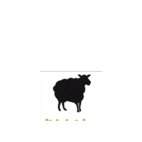 Campervan Sticker by Blacksheep Van