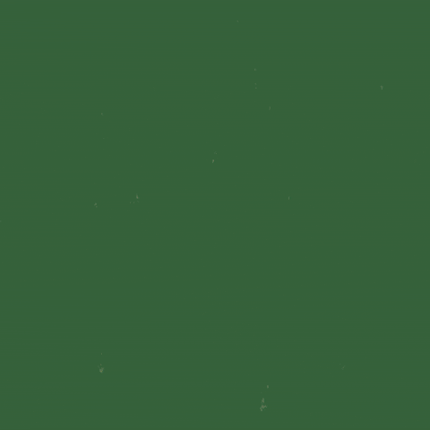 Bored What Now GIF by INTO ACT!ON