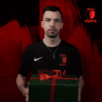 Bundesliga Esports GIF by FC Augsburg 1907