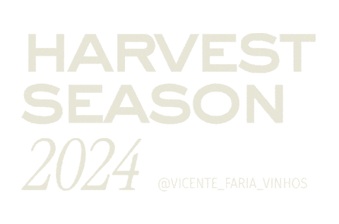 Sticker by VicenteFariaVinhos
