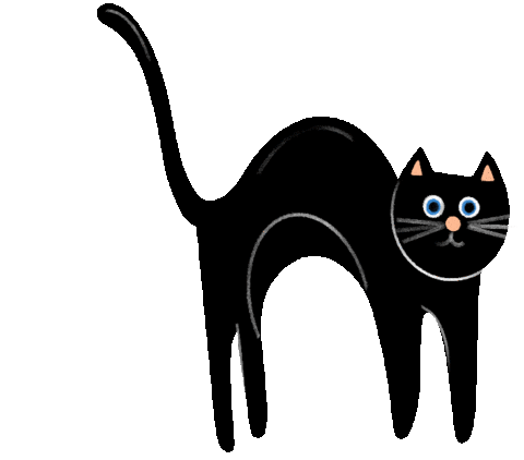 Black Cat Sticker
