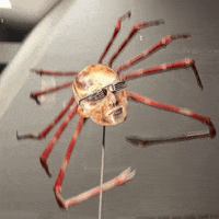 GIF by Alex Boya