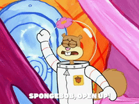 season 4 episode 20 GIF by SpongeBob SquarePants