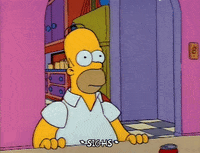 Season 2 GIF by The Simpsons