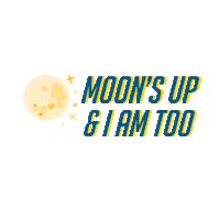 late night stars Sticker by UCLA