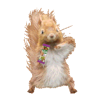 Snack Happy Dance Sticker by Productos del Sur