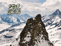You Can Wow GIF by FranchiseONE.de