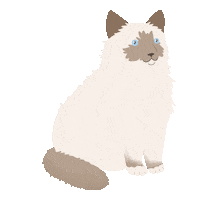White Cat Cats Sticker by petall