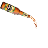 Golden Apple Summer Sticker by Bulmers Ireland