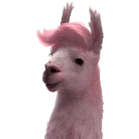 dance lol Sticker by Jules Mumm