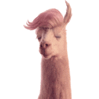 Dance Lol Sticker by Jules Mumm