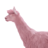 dance lol Sticker by Jules Mumm