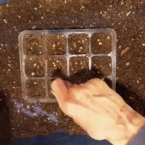 ATUCASASTORE1 giphygifmaker GIF