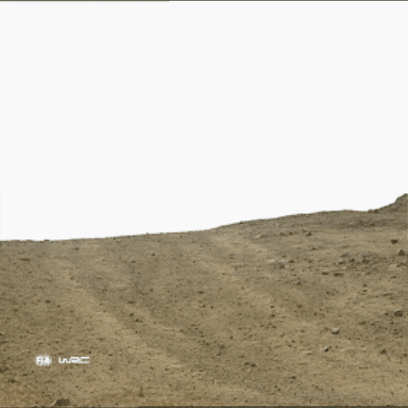 Cars Motorsport GIF by FIA World Rally Championship
