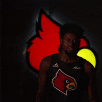University Of Louisville Watch GIF by Louisville Cardinals