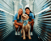 University Of North Carolina Dog GIF by UNC Tar Heels