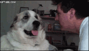 bitch please GIF