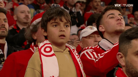Europa League Football GIF by UEFA