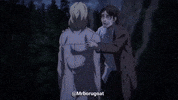 Attack On Titan GIF