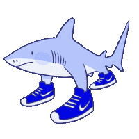 Shark Sticker