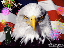 4Th Of July America GIF