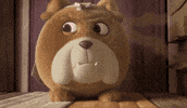 Angry Fart GIF by HangryPetz