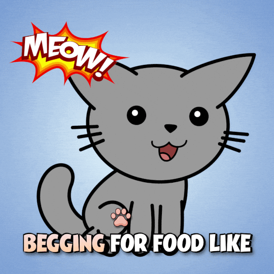 Hungry Feed Me GIF by Hugo.fm