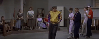 classic film GIF by Warner Archive