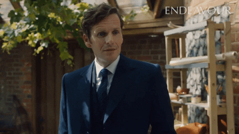 I See Smile GIF by Mammoth Screen