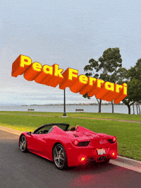 Ferrari Rocco GIF