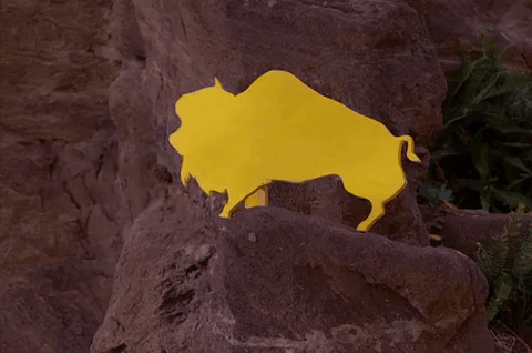 season 2 GIF by Twin Peaks on Showtime