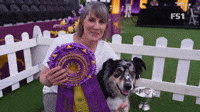 The Masters Obedience Championship At Westminster