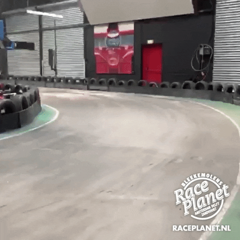 Go-Karting Amsterdam GIF by Race Planet