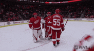 Ice Hockey Hug GIF by NHL