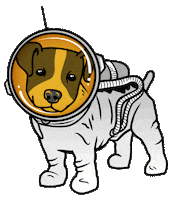 Sebeboekhouders dog space hond boekhouder Sticker
