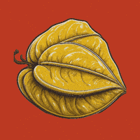 Comida Fruit GIF