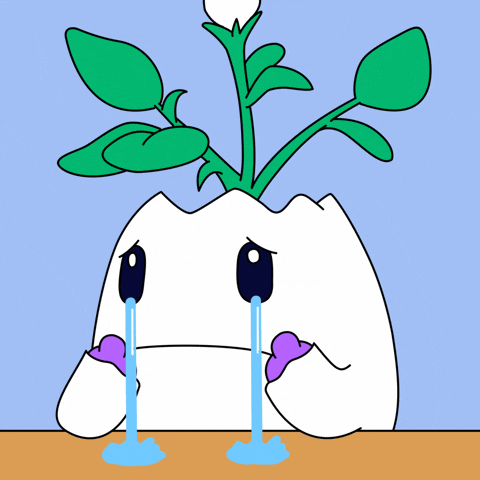 Sad Its Fine GIF by Magic Eden