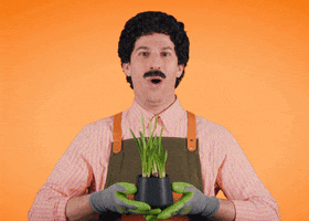 Happy Tonight Show GIF by The Tonight Show Starring Jimmy Fallon