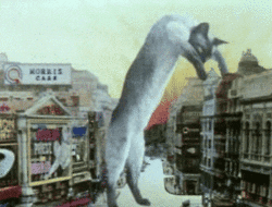 post flying GIF