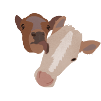 Aranovsky cow farm village mu Sticker