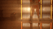Softball Tennessee GIF by NCAA Championships