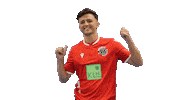 Hannover 96 Fifa Sticker by H96eSports