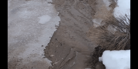Snow Education GIF by DIIMSA Stock
