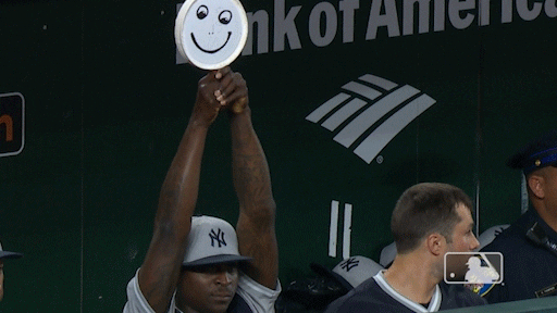 New York Yankees Face GIF by MLB