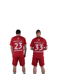 Wilhelmshaven Whv Sticker by whvhandball