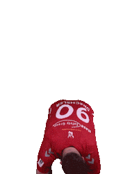 Wilhelmshaven Whv Sticker by whvhandball