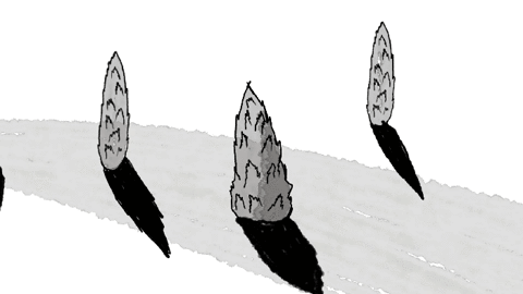 animation 2d GIF by Amanda Bonaiuto