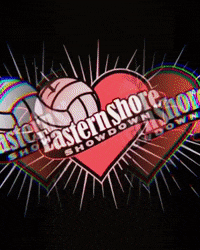 WeBuildYouPlay logo volleyball webuildyouplay we build you play GIF