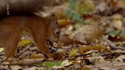 GIF by ARTE